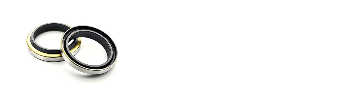 DKB 型骨架油封1 修图1.png